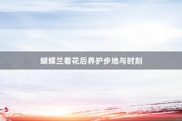 蝴蝶兰着花后养护步地与时刻