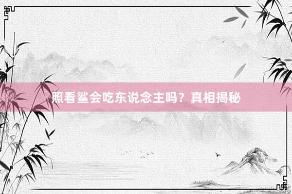 照看鲨会吃东说念主吗？真相揭秘