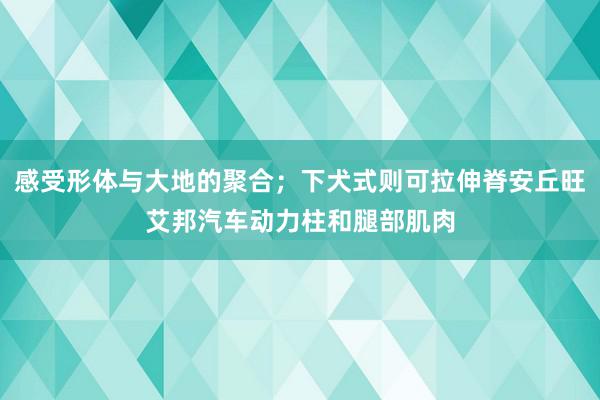感受形体与大地的聚合；下犬式则可拉伸脊安丘旺艾邦汽车动力柱和腿部肌肉